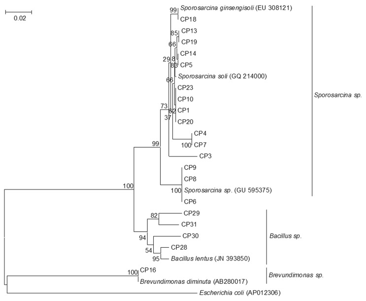 Figure 1