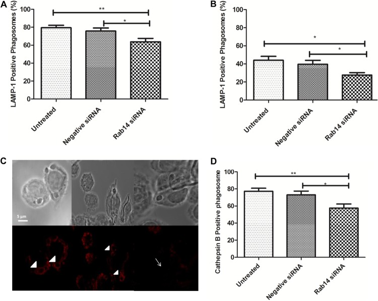 FIG 8