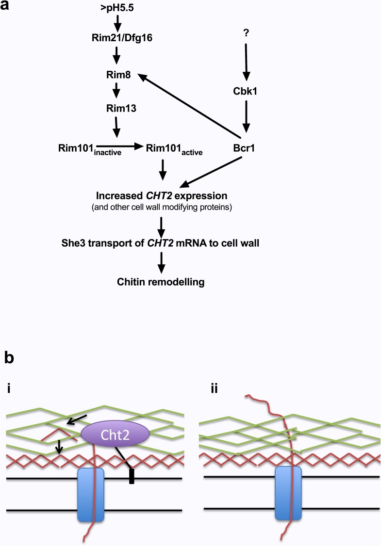 Fig 12