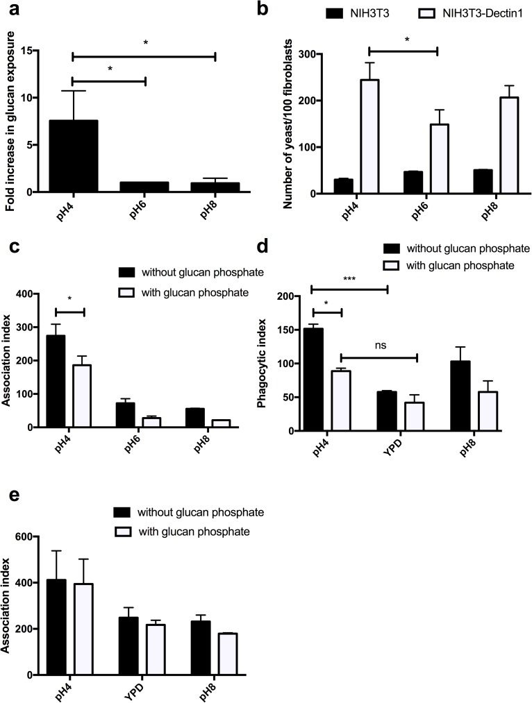 Fig 10