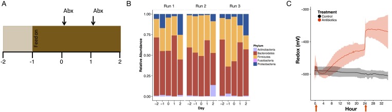 Figure 2—figure supplement 1.