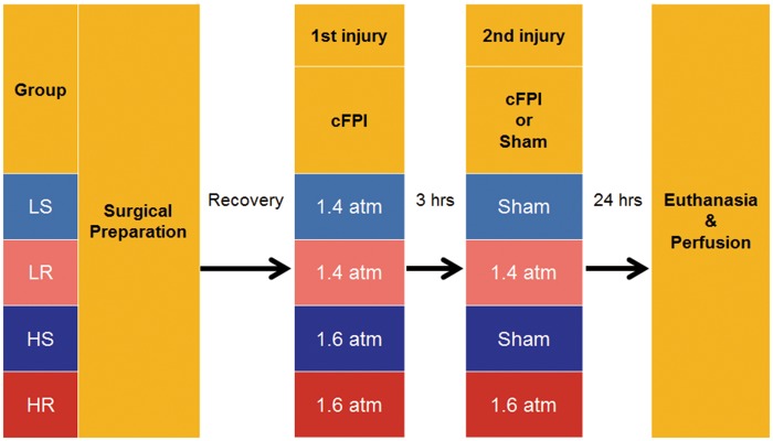 FIGURE 1.