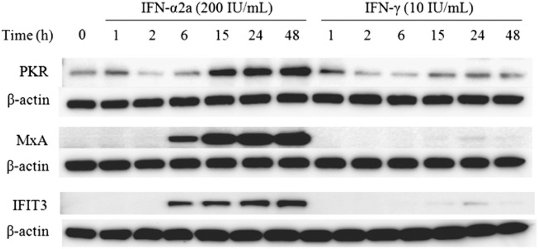 FIGURE 3