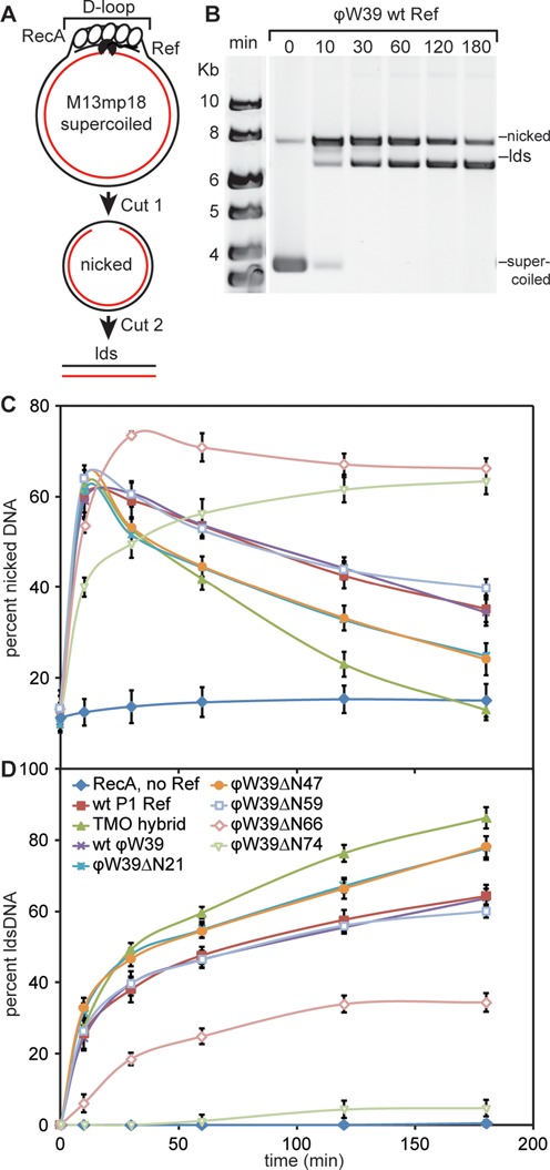 Figure 5.