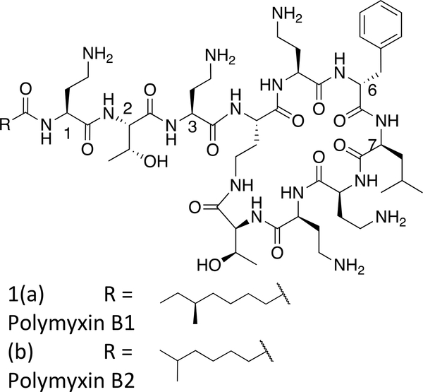 Figure 1: