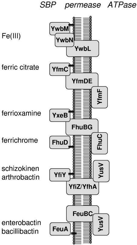 FIG. 7.