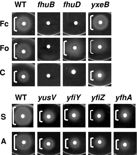 FIG. 3.