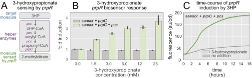 Fig. S1.