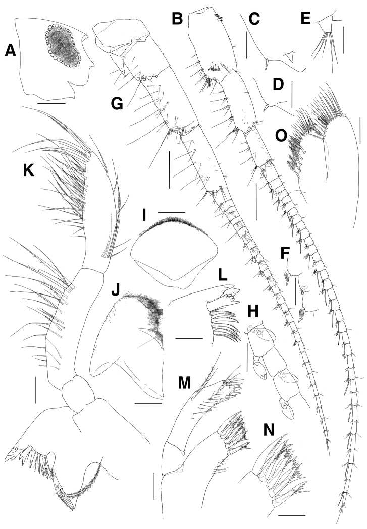 Figure 7.