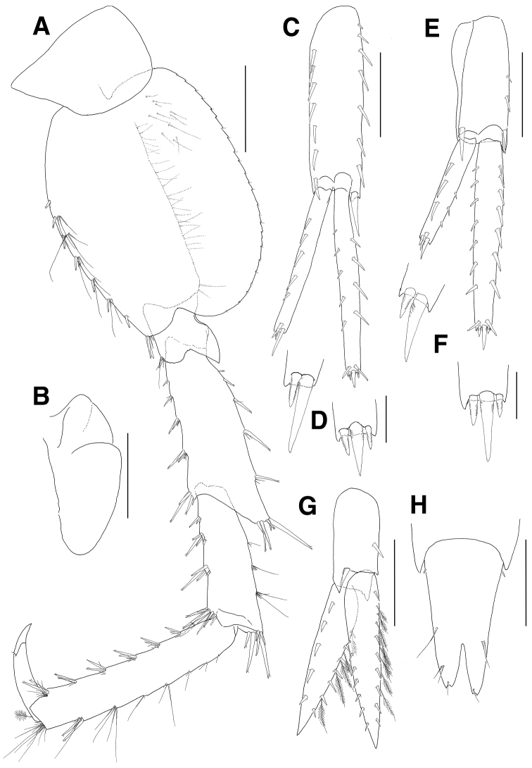 Figure 5.