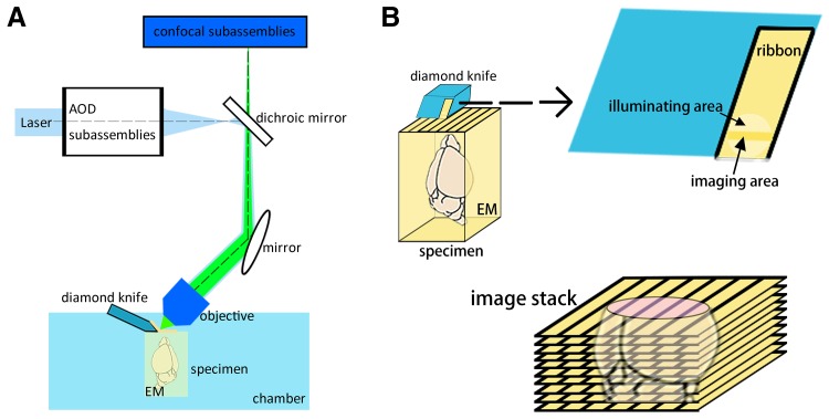 Fig. 2