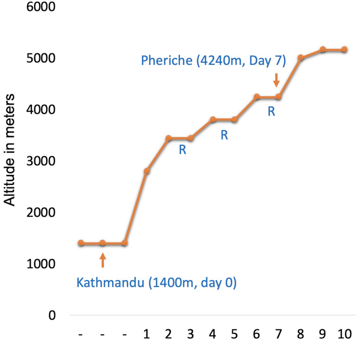 FIGURE 1