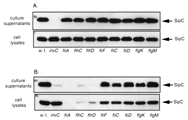 FIG. 5