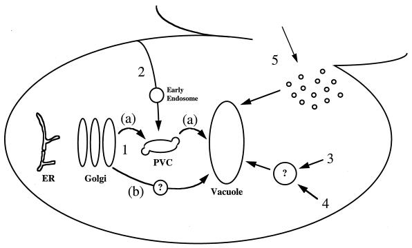 FIG. 1