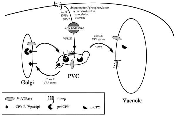 FIG. 3