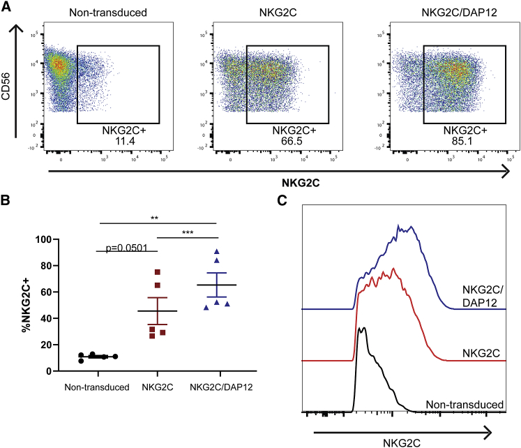 Figure 4