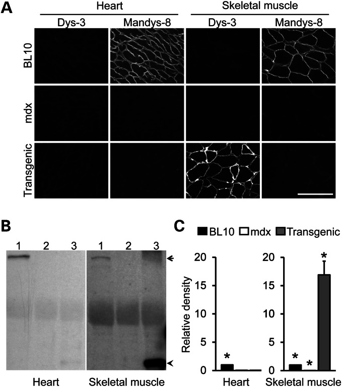 Figure 1.