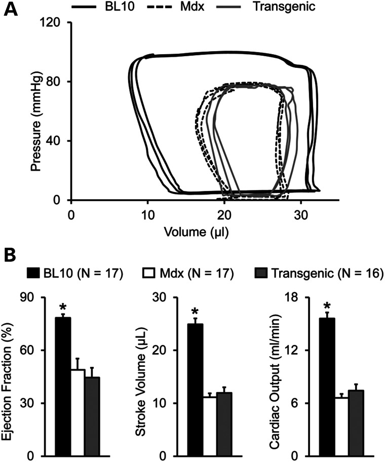 Figure 4.