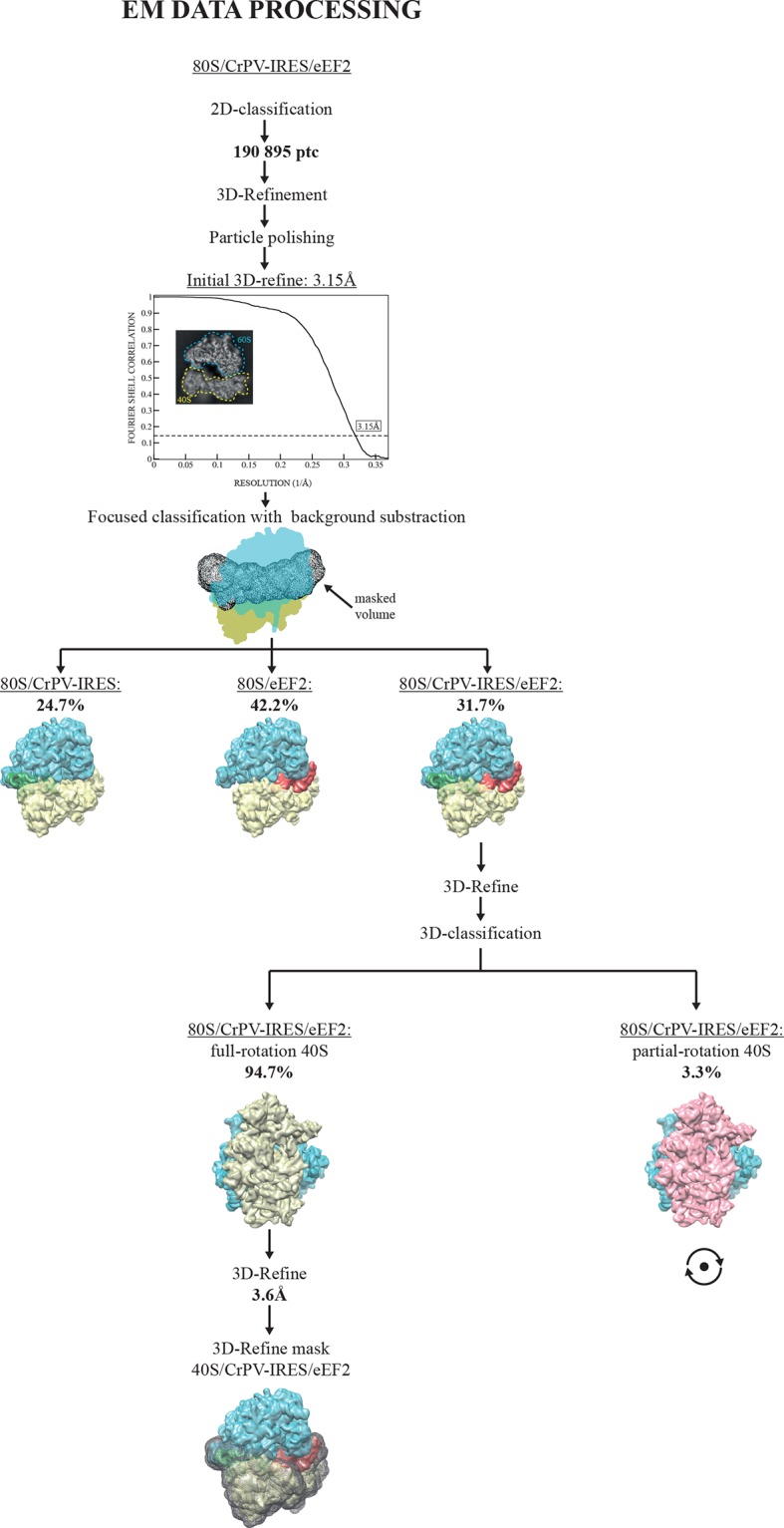 Figure 2—figure supplement 1.