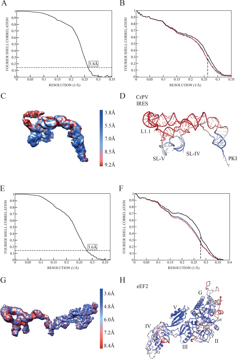 Figure 1—figure supplement 2.