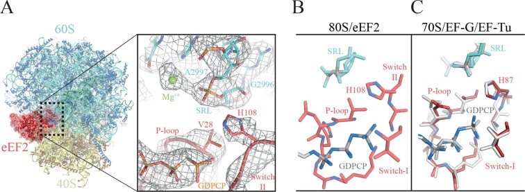 Figure 6.