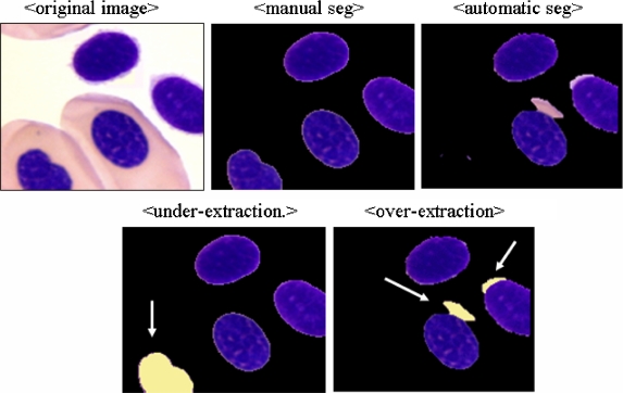 Fig 10