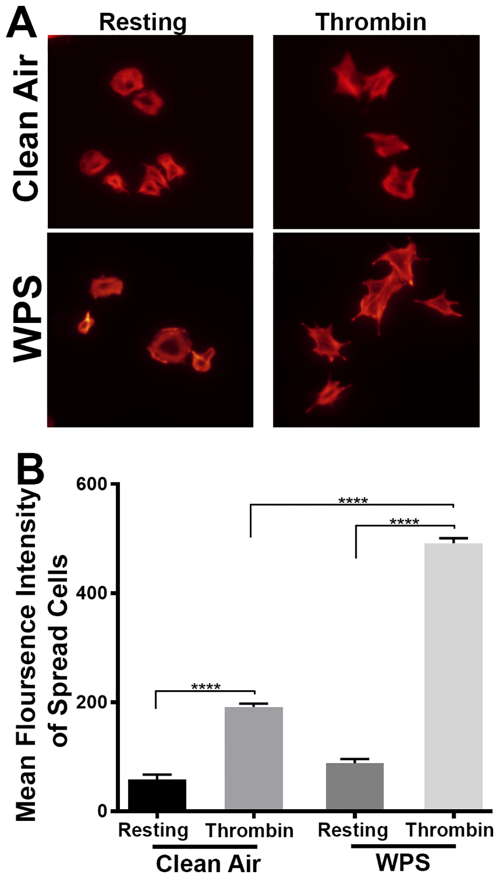 Figure 5: