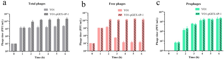 Figure 7