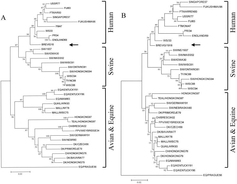 FIG. 2.