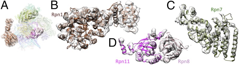 Fig. 2.