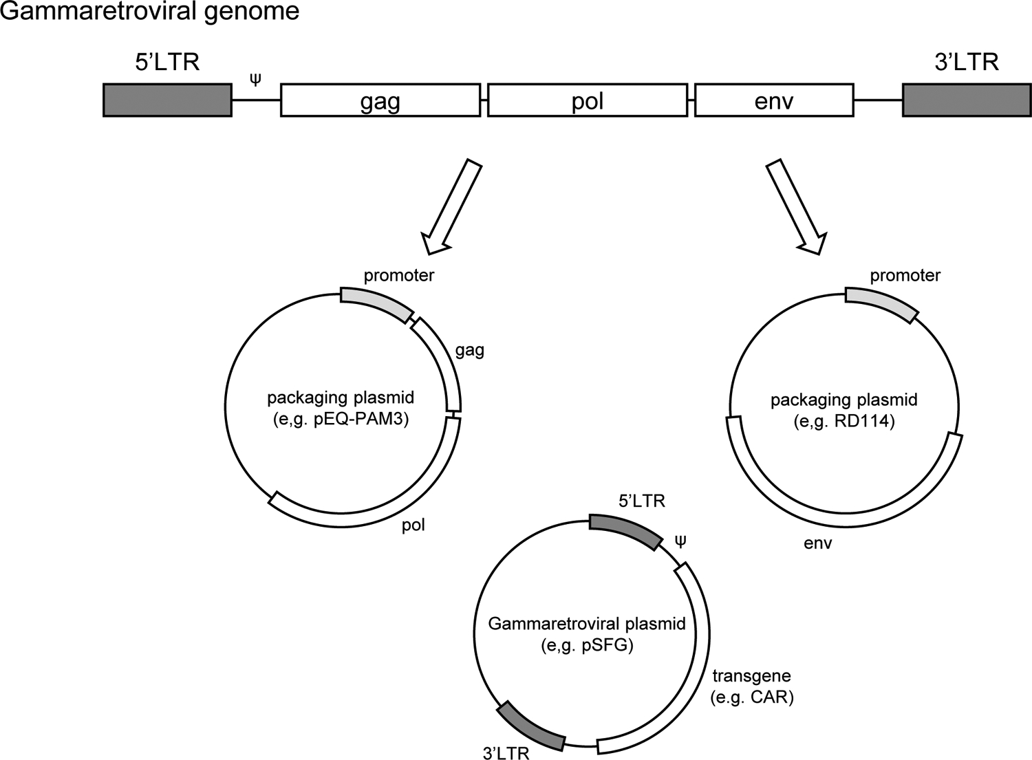 Fig 1.