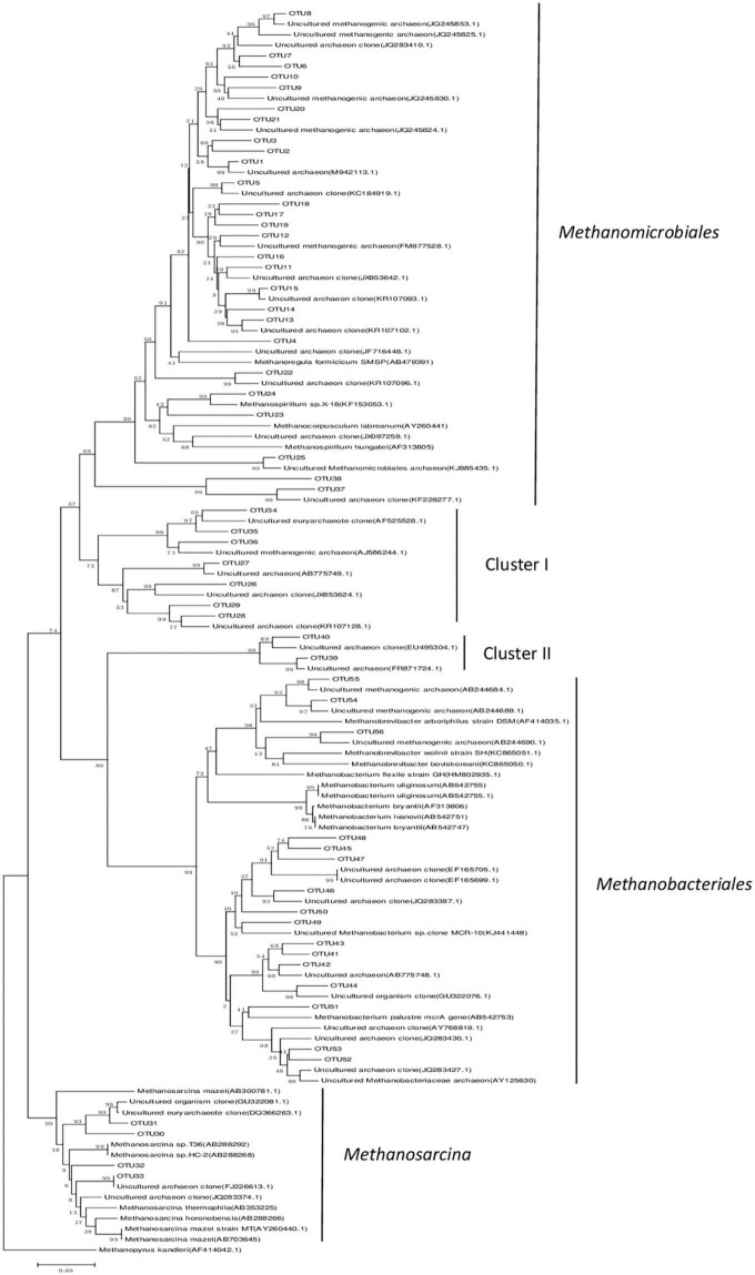 Effect of short-term warming and drought on the methanogenic ...