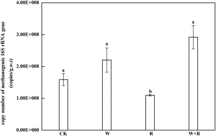 Effect of short-term warming and drought on the methanogenic ...