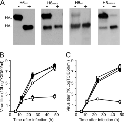 FIG. 1.