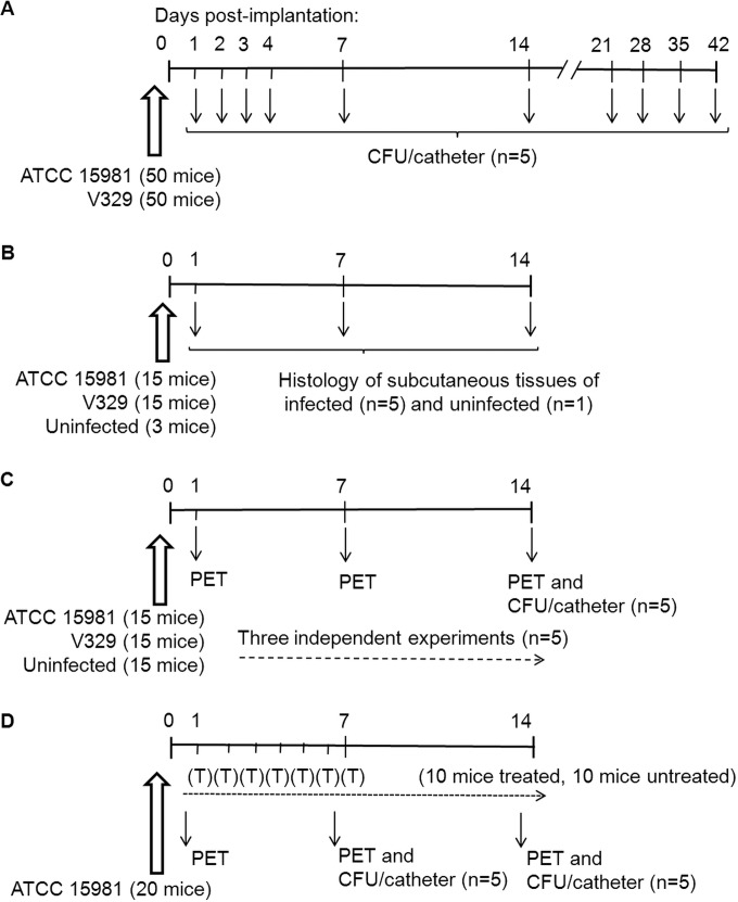 FIG 1