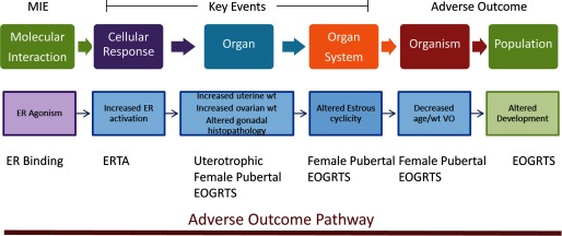 Adverse outcome pathways.