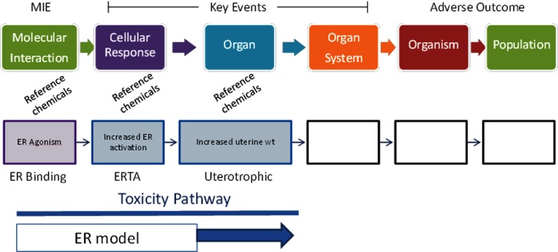 Toxicity pathway