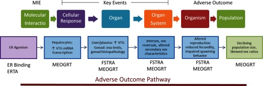 Adverse outcome pathways.