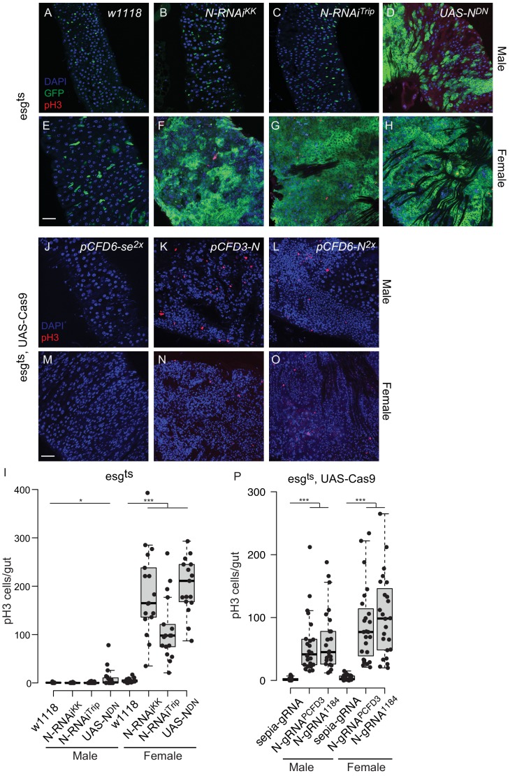 Figure 1—figure supplement 2.