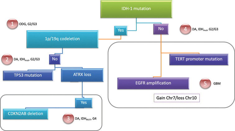 Figure 1: