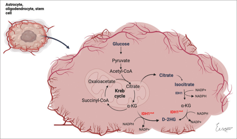 Figure 3: