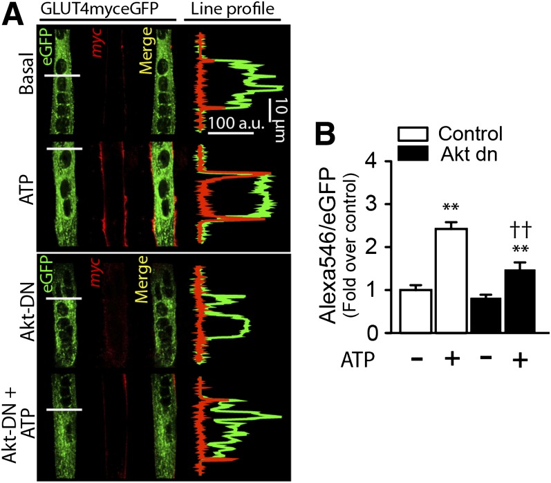 FIG. 4.