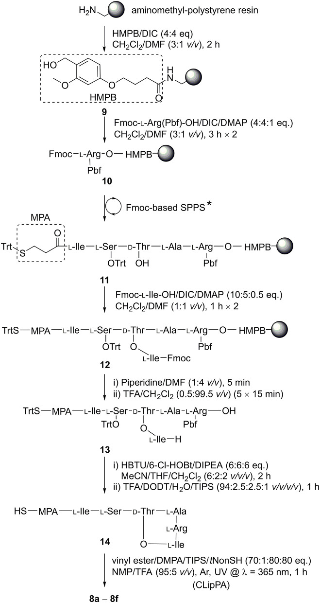 Scheme 2