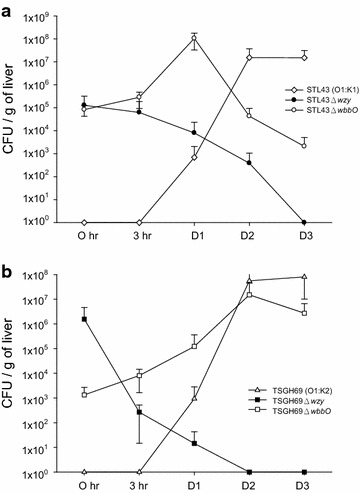 Fig. 6