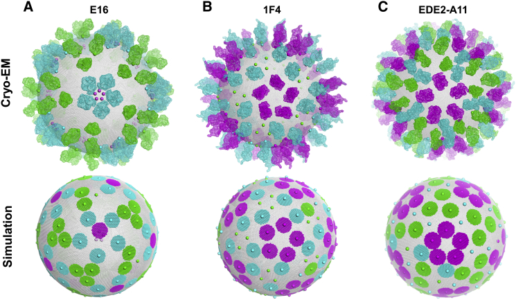 Figure 4