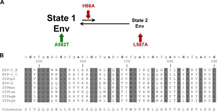 FIG 8