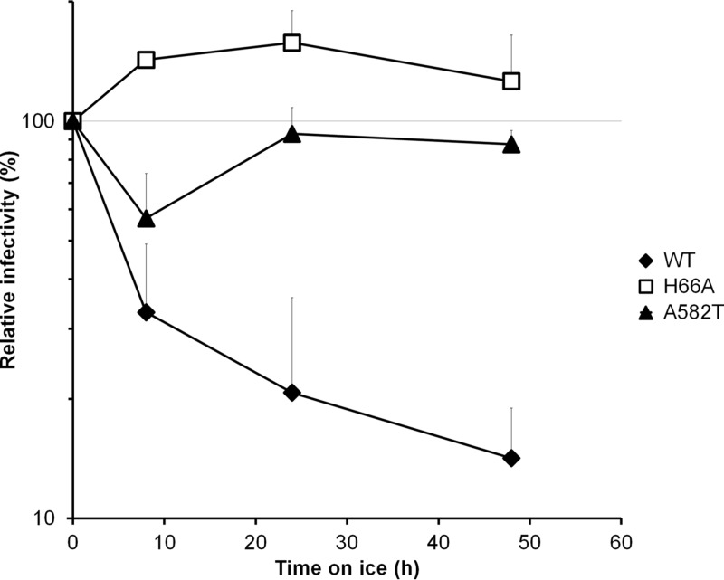 FIG 6