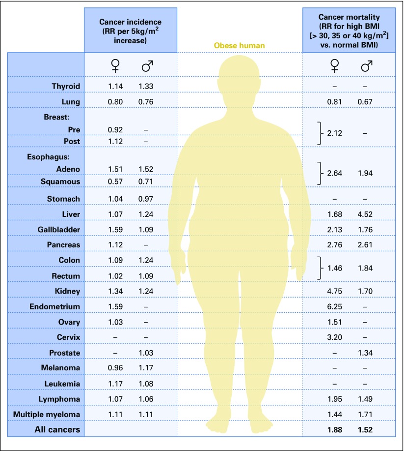 Fig 1.