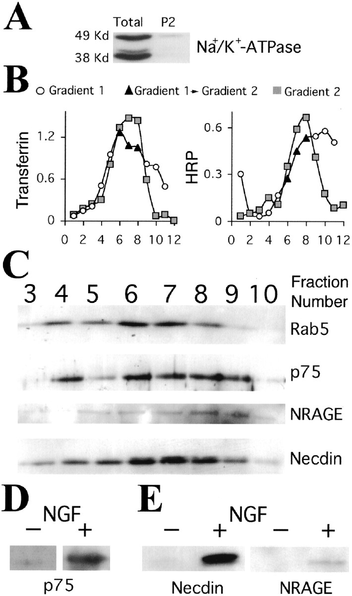 Fig. 9.