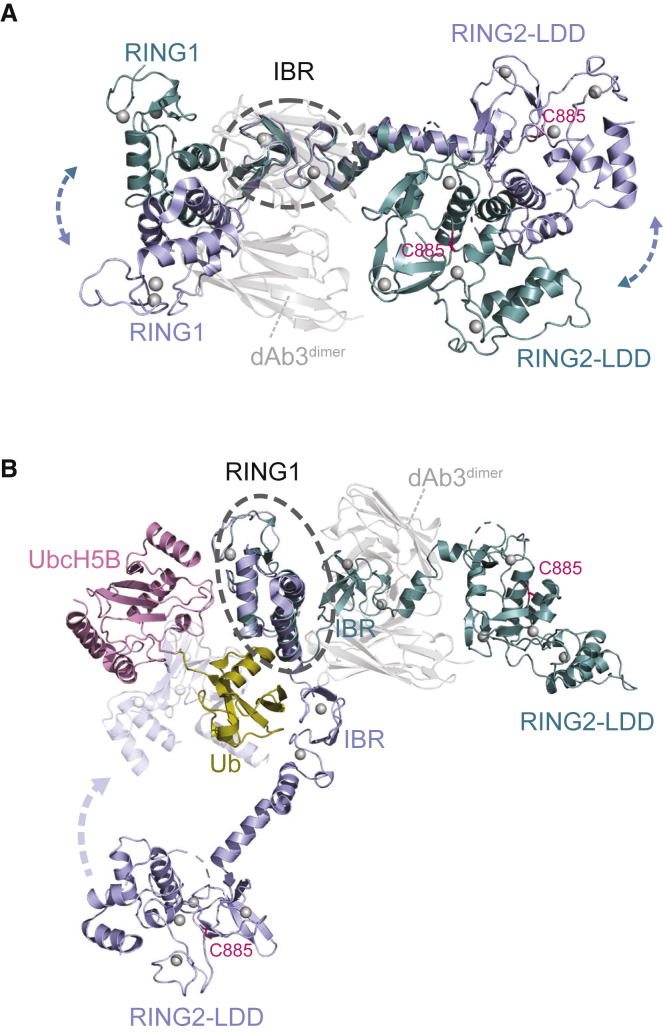 Figure 4